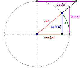 círculo unitario y función seno